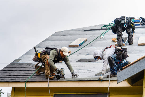 Professional Roofing technician working in Rhome, TX